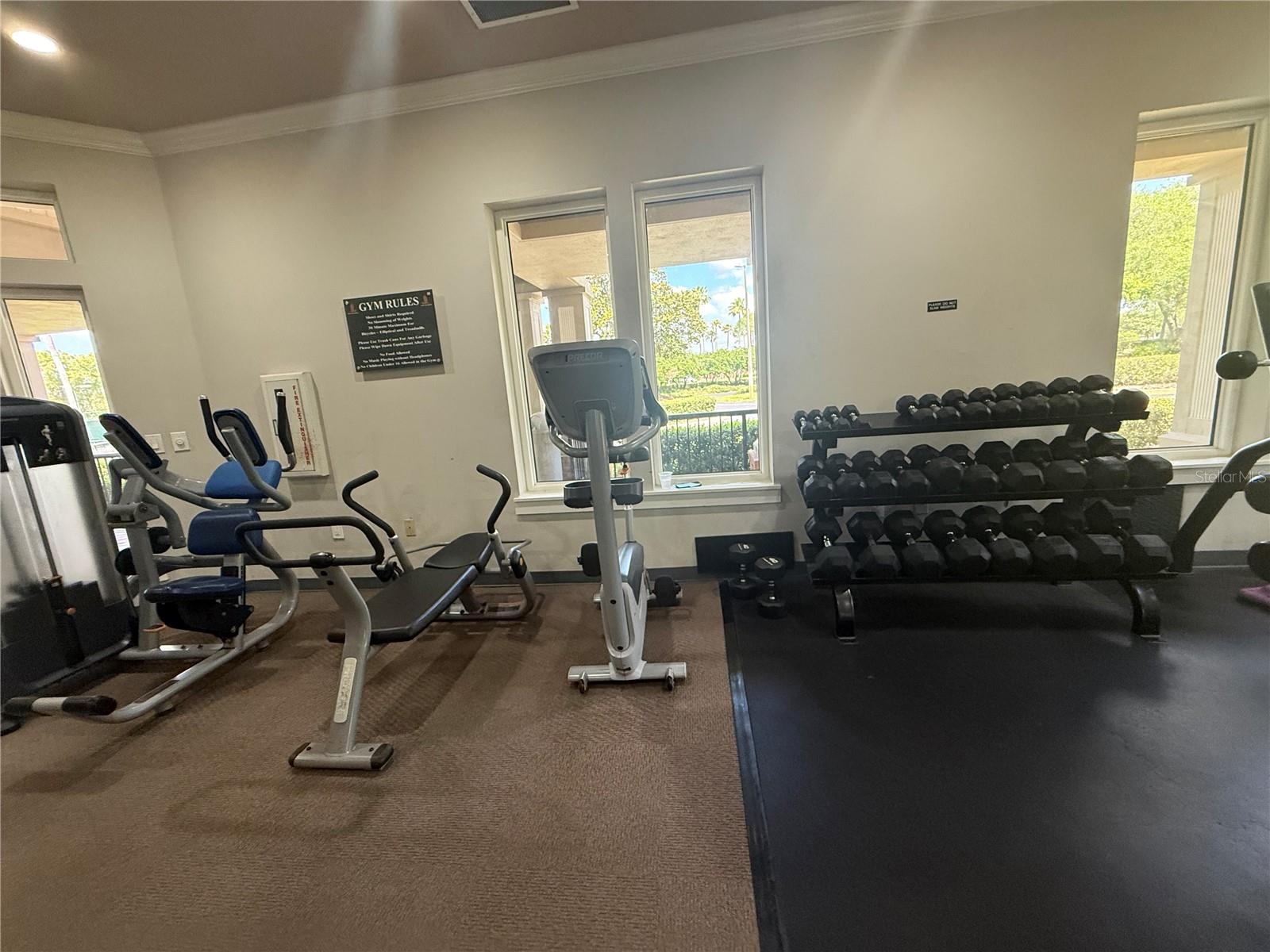 19138 MEADOW PINE DR, TAMPA, FL, 33647