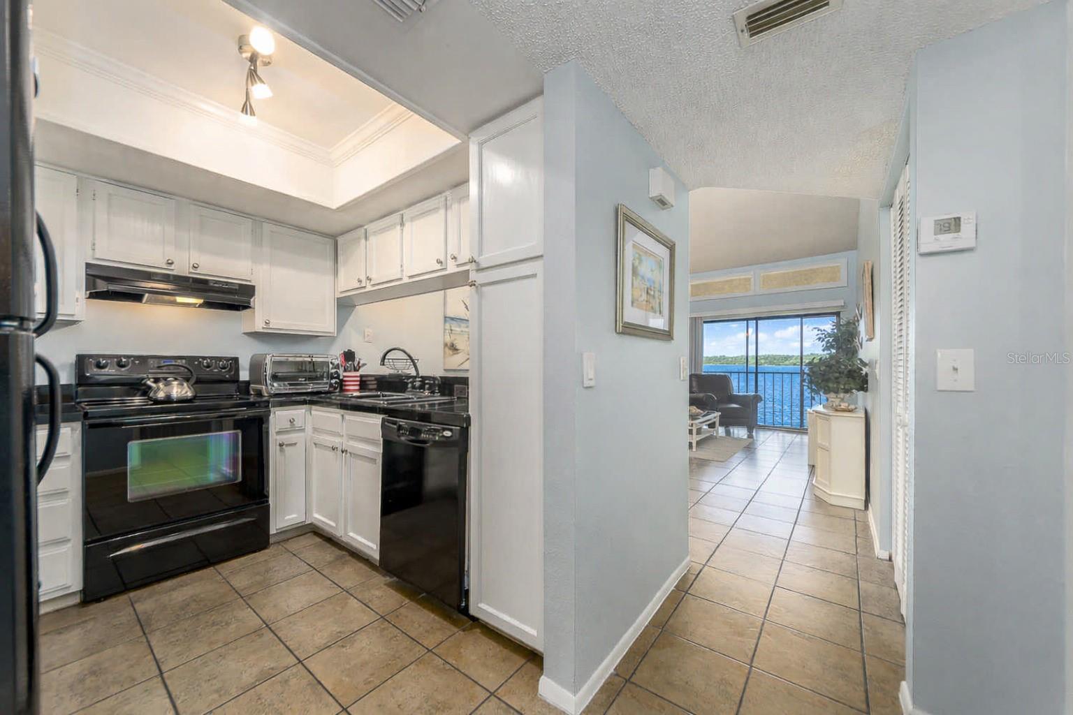 304 WOODLAKE WYNDE #304, OLDSMAR, FL, 34677