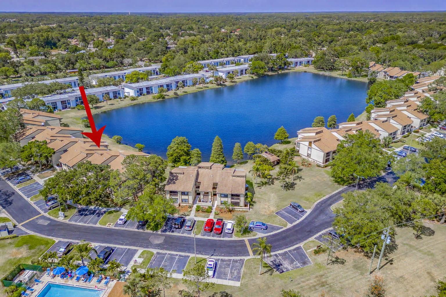 304 WOODLAKE WYNDE #304, OLDSMAR, FL, 34677