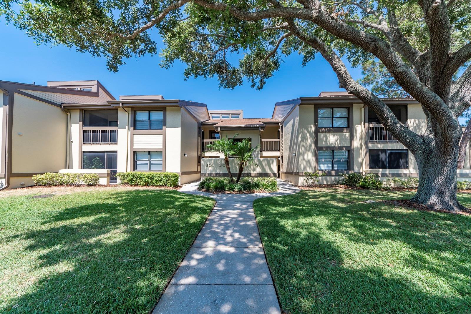 304 WOODLAKE WYNDE #304, OLDSMAR, FL, 34677