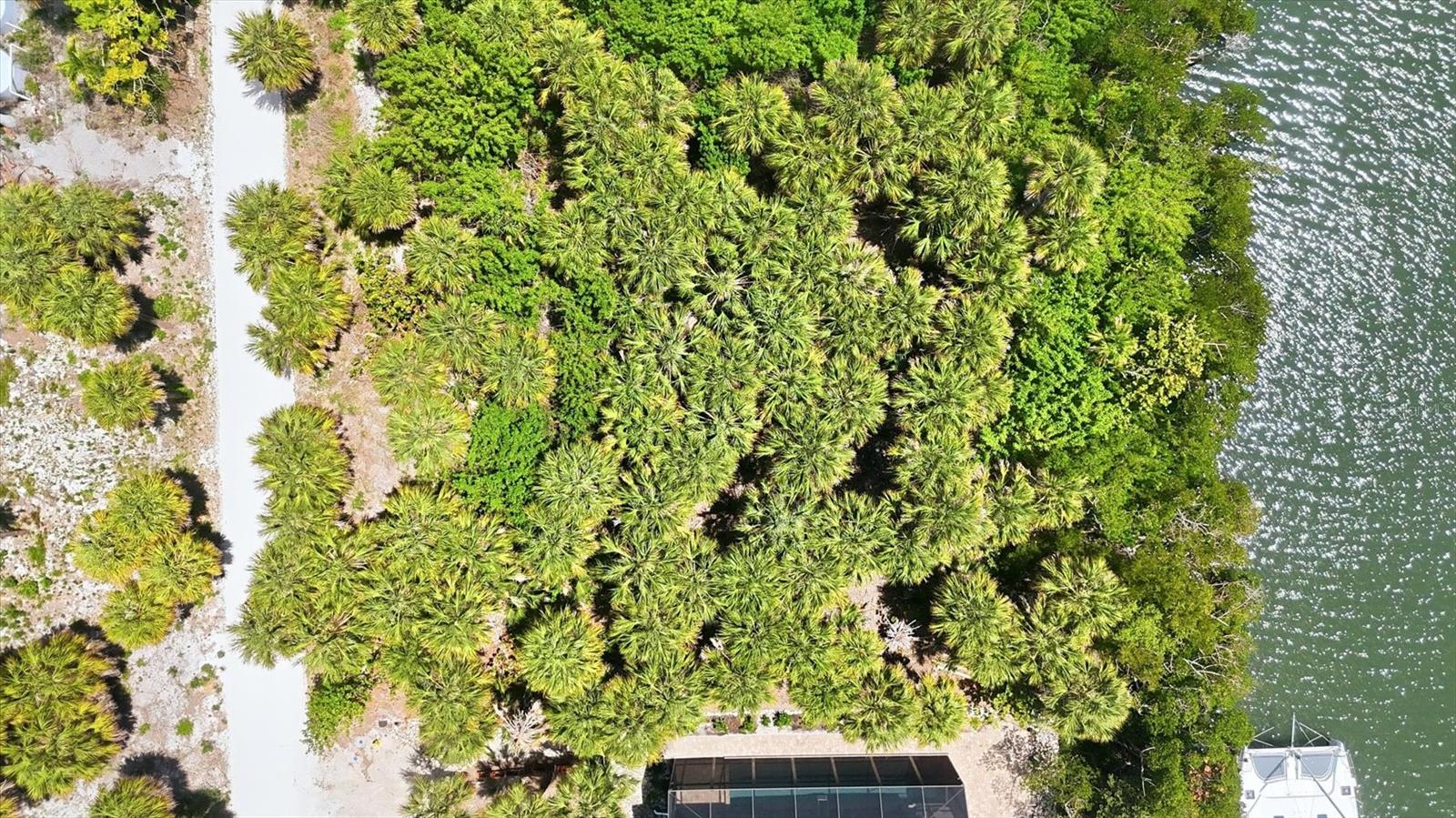 70 PALM DR, PLACIDA, FL, 33946