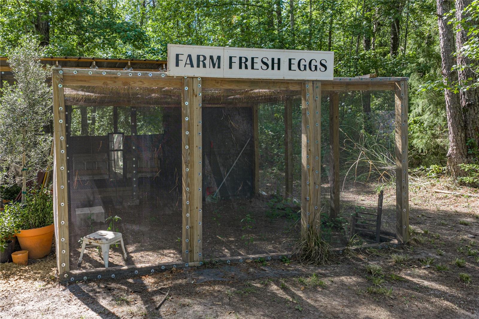 9091 MCINTYRE RD, BROOKSVILLE, FL, 34601