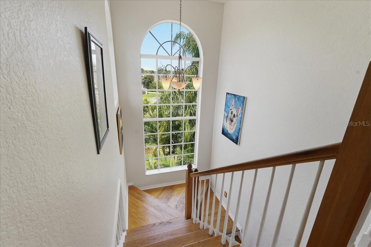 196 SHORE DR, PALM HARBOR, FL, 34683