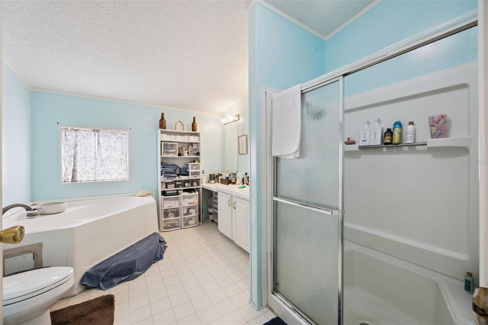 25412 MATHEW ST, CHRISTMAS, FL, 32709