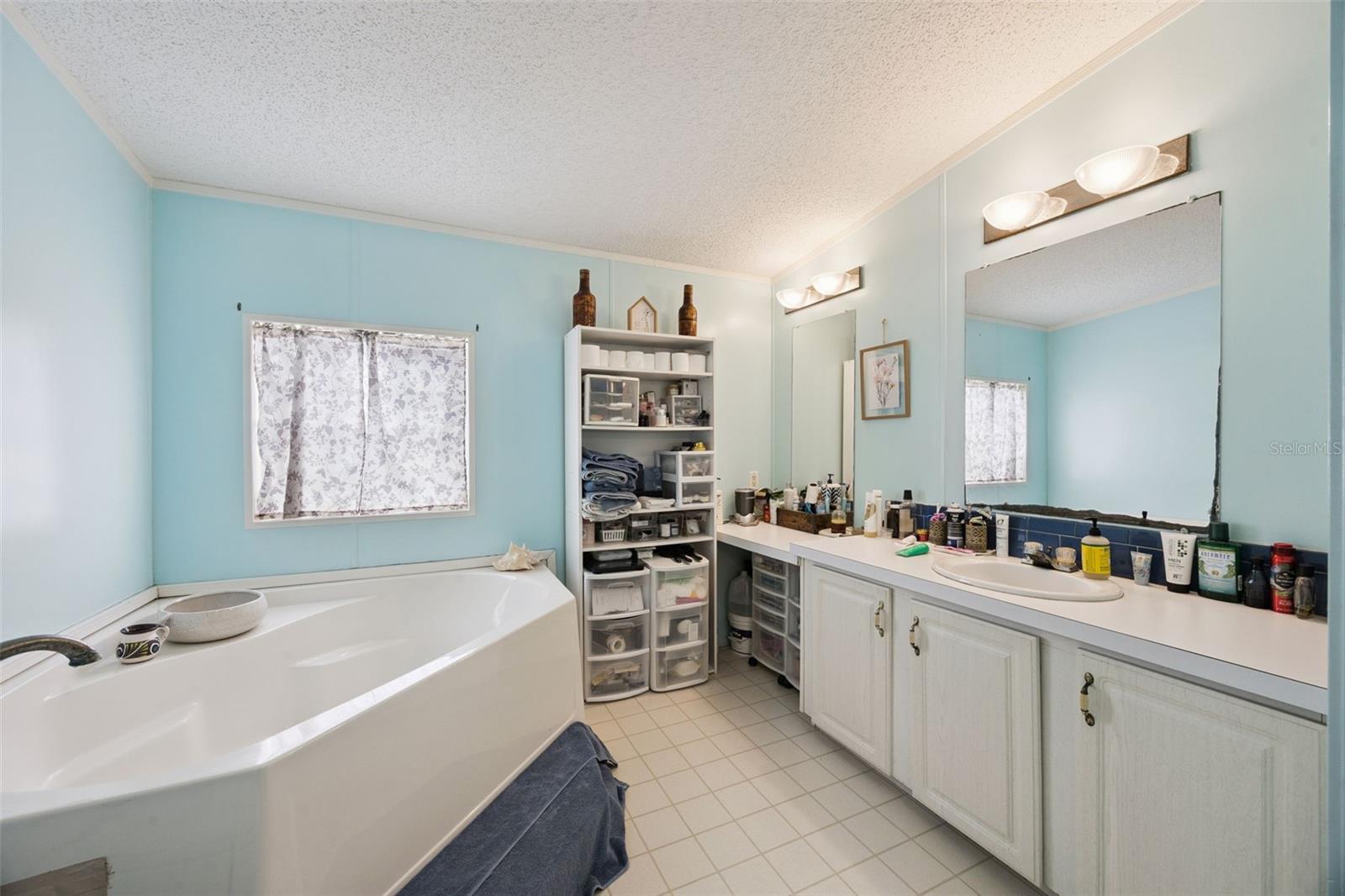 25412 MATHEW ST, CHRISTMAS, FL, 32709