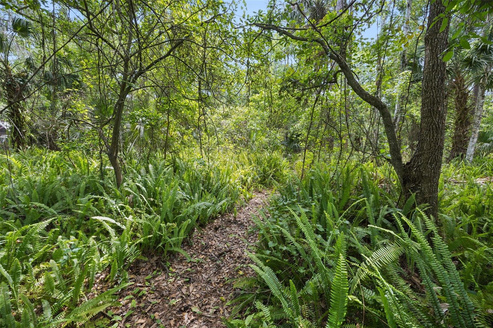 25412 MATHEW ST, CHRISTMAS, FL, 32709