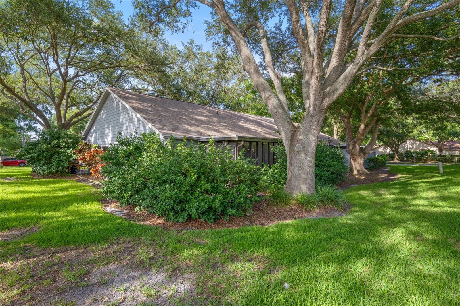 2668 BENTLEY DR, PALM HARBOR, FL, 34684