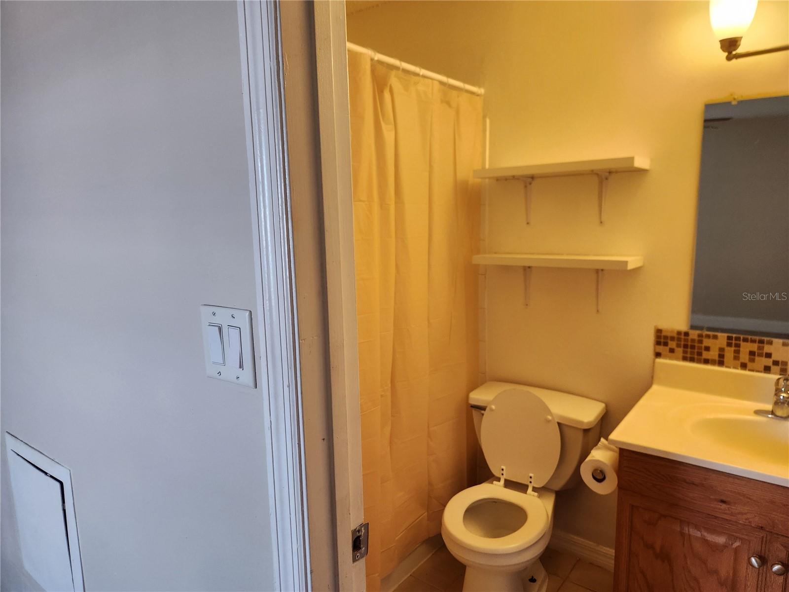 803 LAKE HAVEN SQ #101, BRANDON, FL, 33511