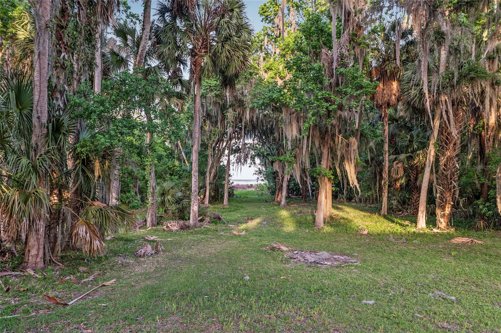 20361 1ST ST, MC INTOSH, FL, 32664