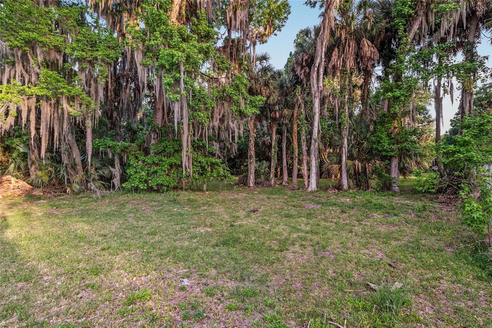 20361 1ST ST, MC INTOSH, FL, 32664