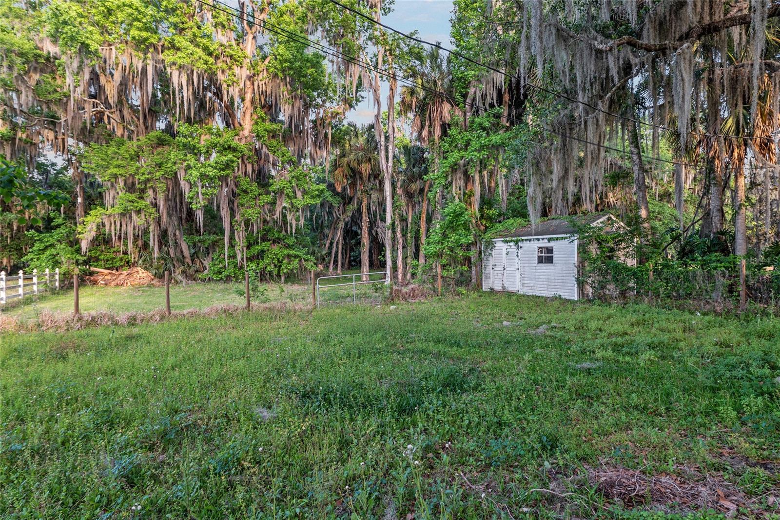 20361 1ST ST, MC INTOSH, FL, 32664