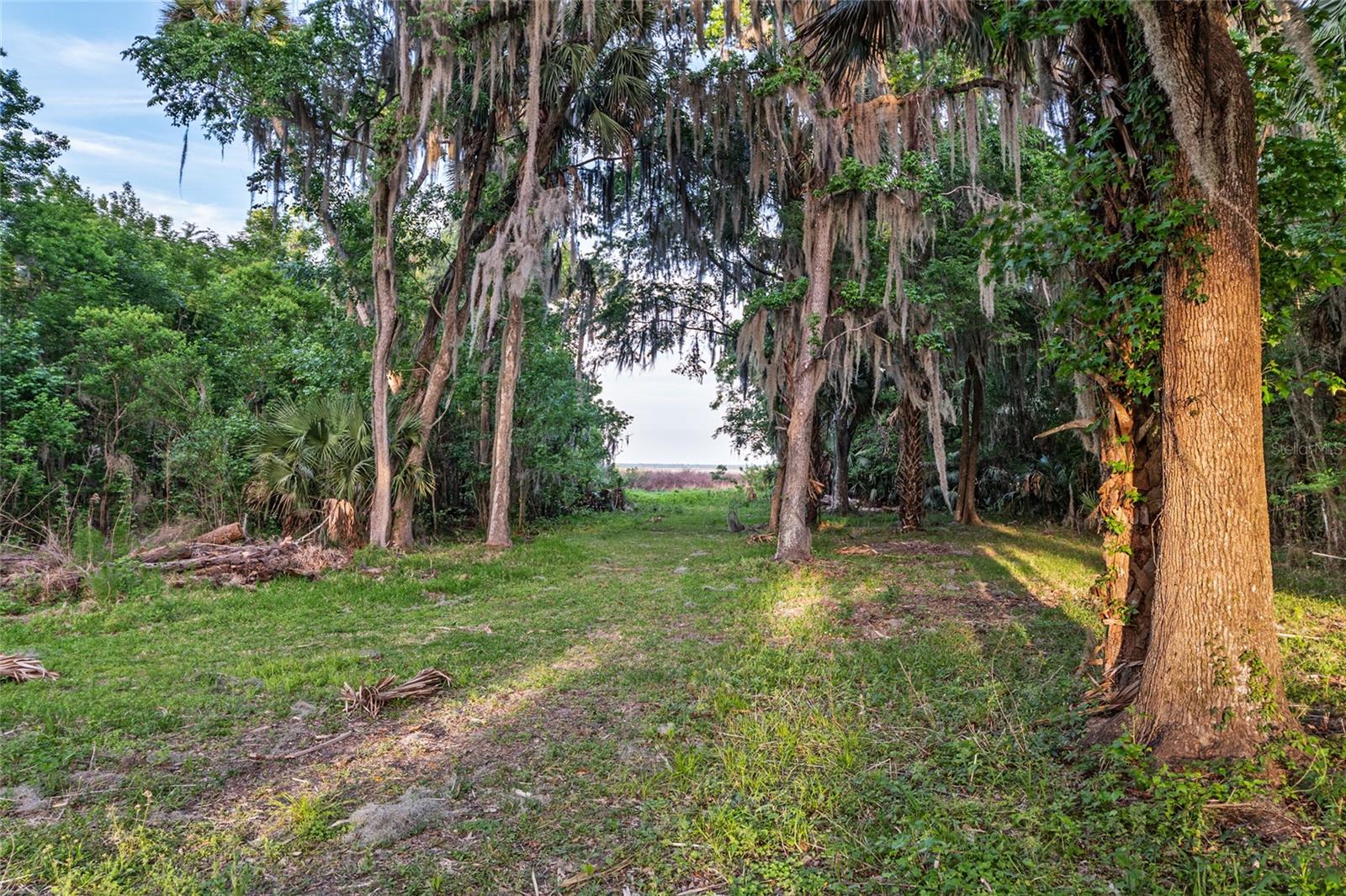 20361 1ST ST, MC INTOSH, FL, 32664