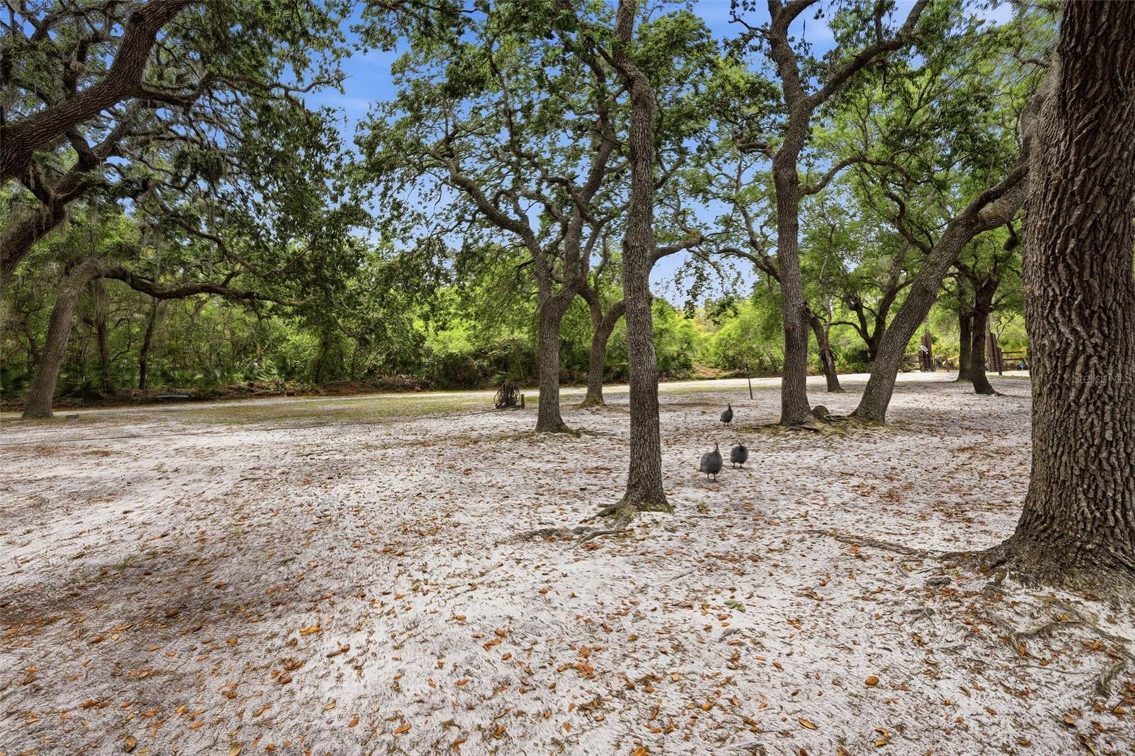 41736 APOLLO LN, DELAND, FL, 32720