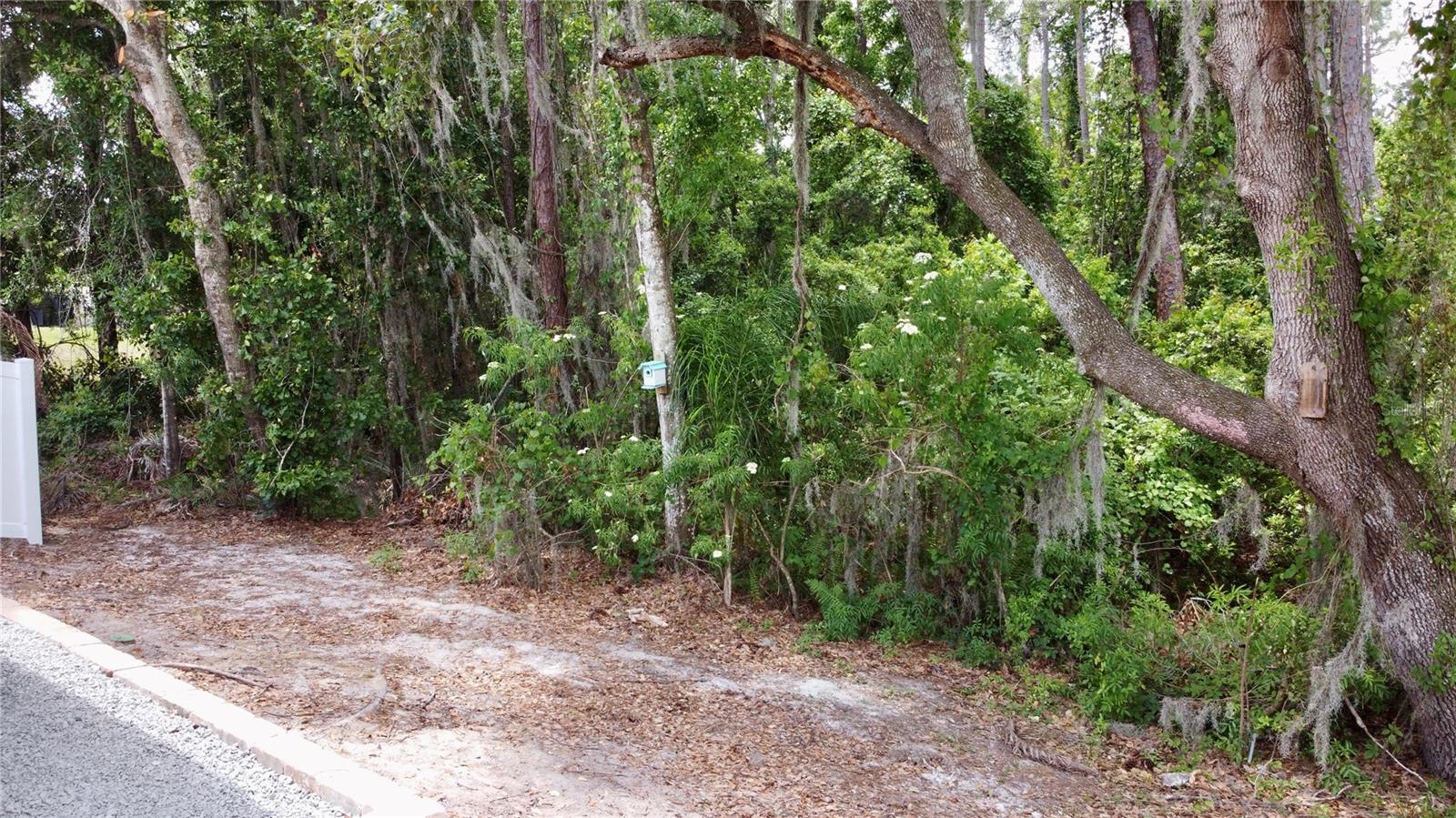 6323 OPEN PASTURE CT, WESLEY CHAPEL, FL, 33545