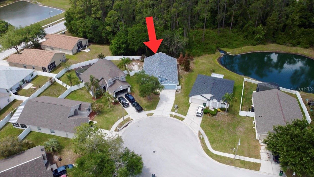 6323 OPEN PASTURE CT, WESLEY CHAPEL, FL, 33545