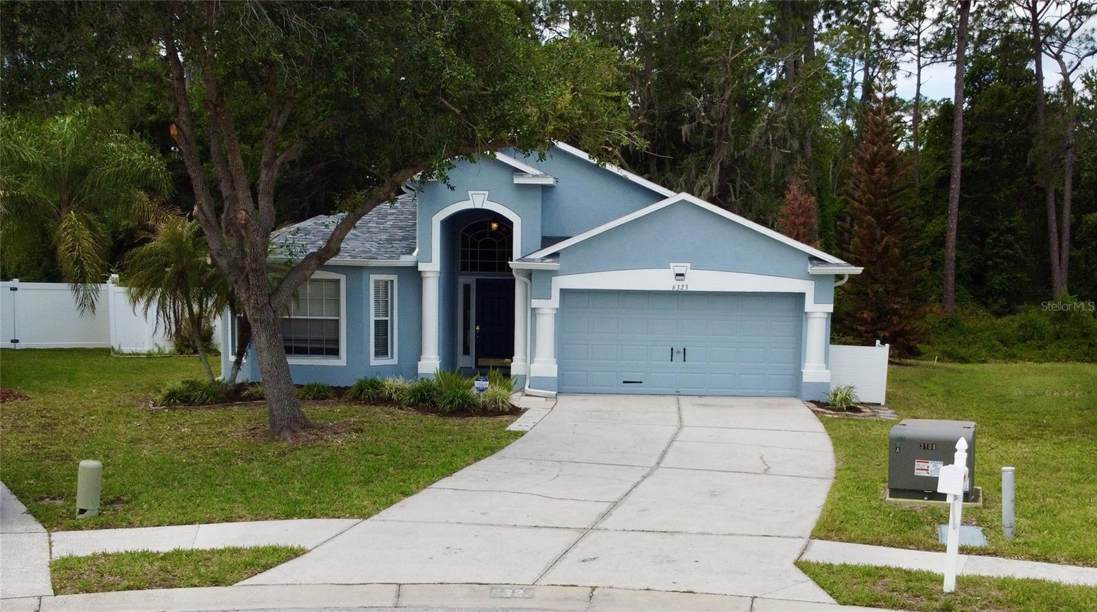 6323 OPEN PASTURE CT, WESLEY CHAPEL, FL, 33545