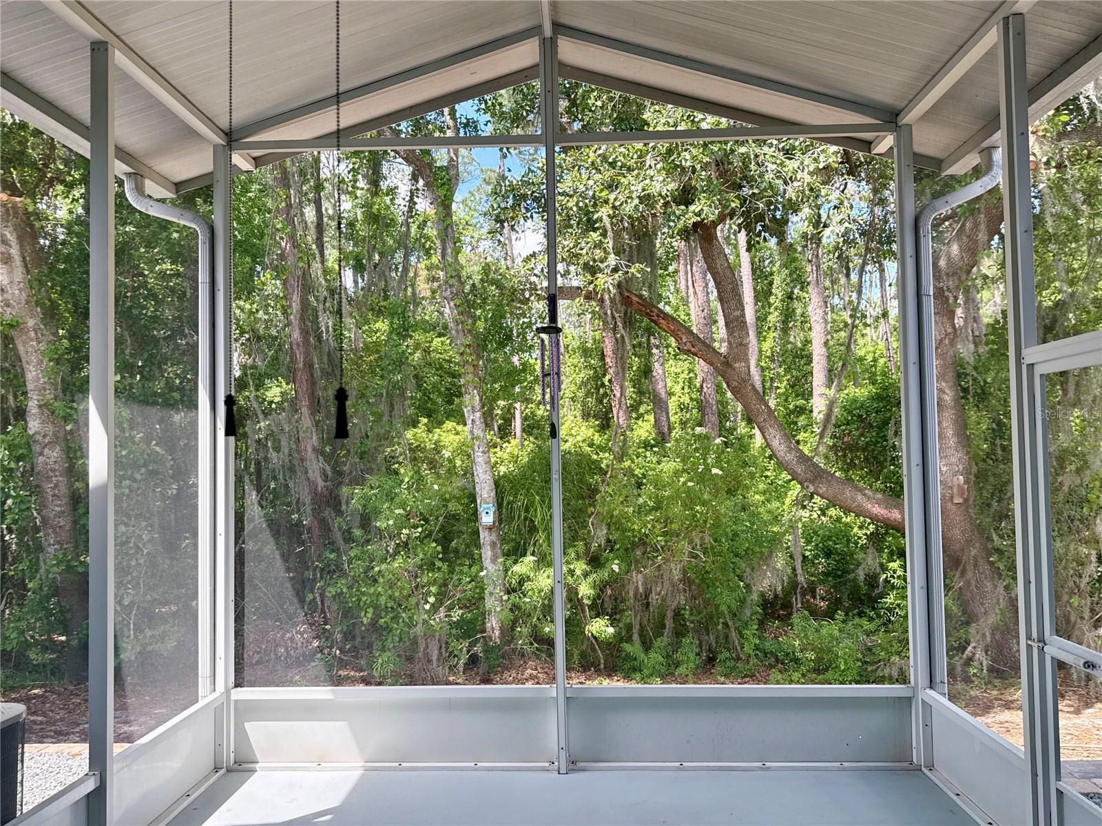 6323 OPEN PASTURE CT, WESLEY CHAPEL, FL, 33545