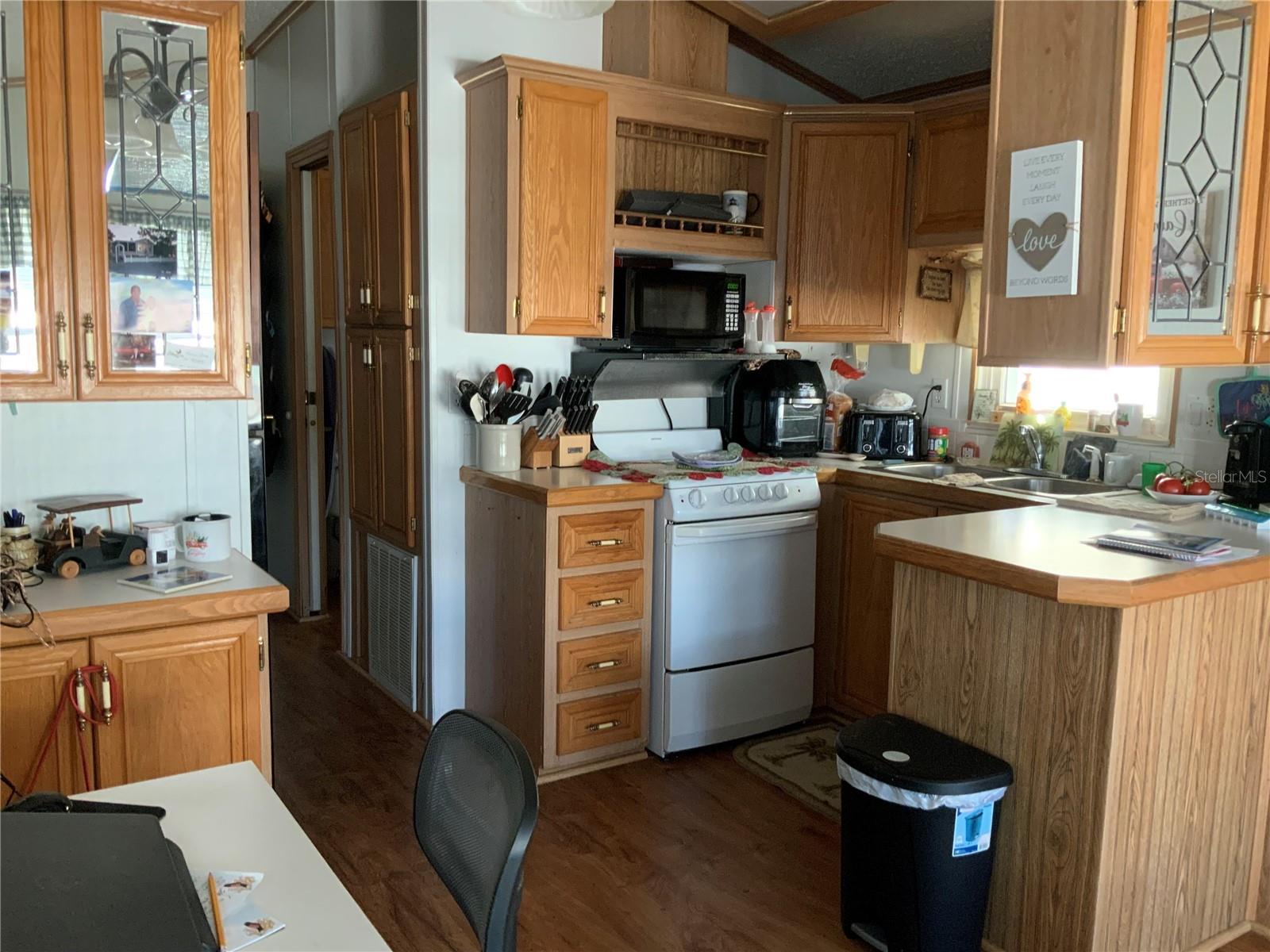 11332 GOLDFINCH WAY, LEESBURG, FL, 34788