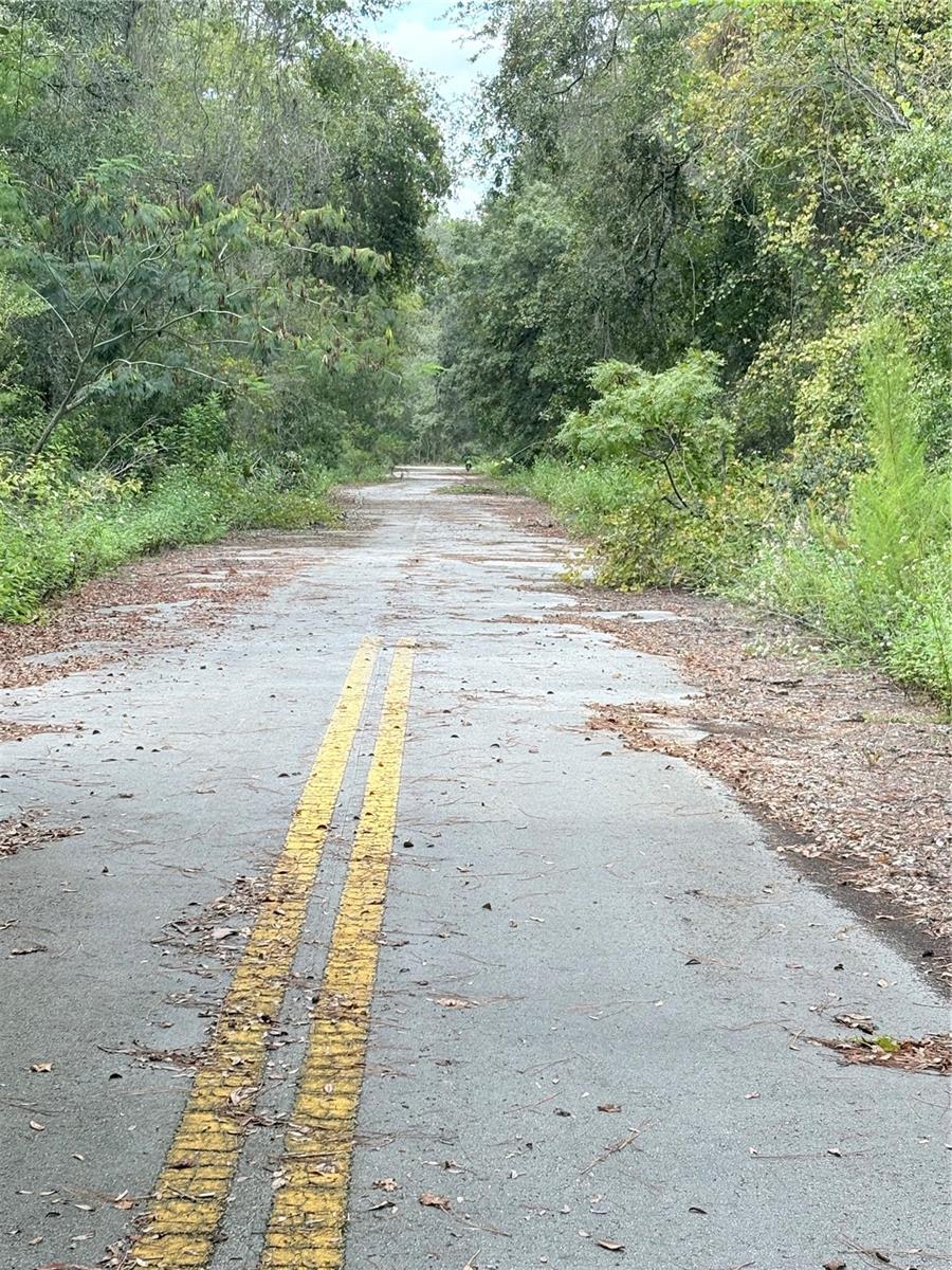 TBD NE 237TH PL, FORT MC COY, FL, 32134