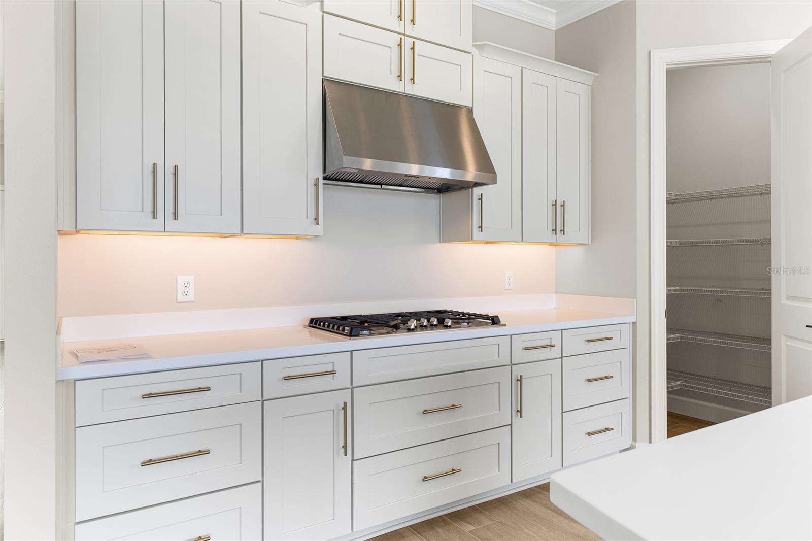 992 TASSLEFLOWER TRL, ST CLOUD, FL, 34771