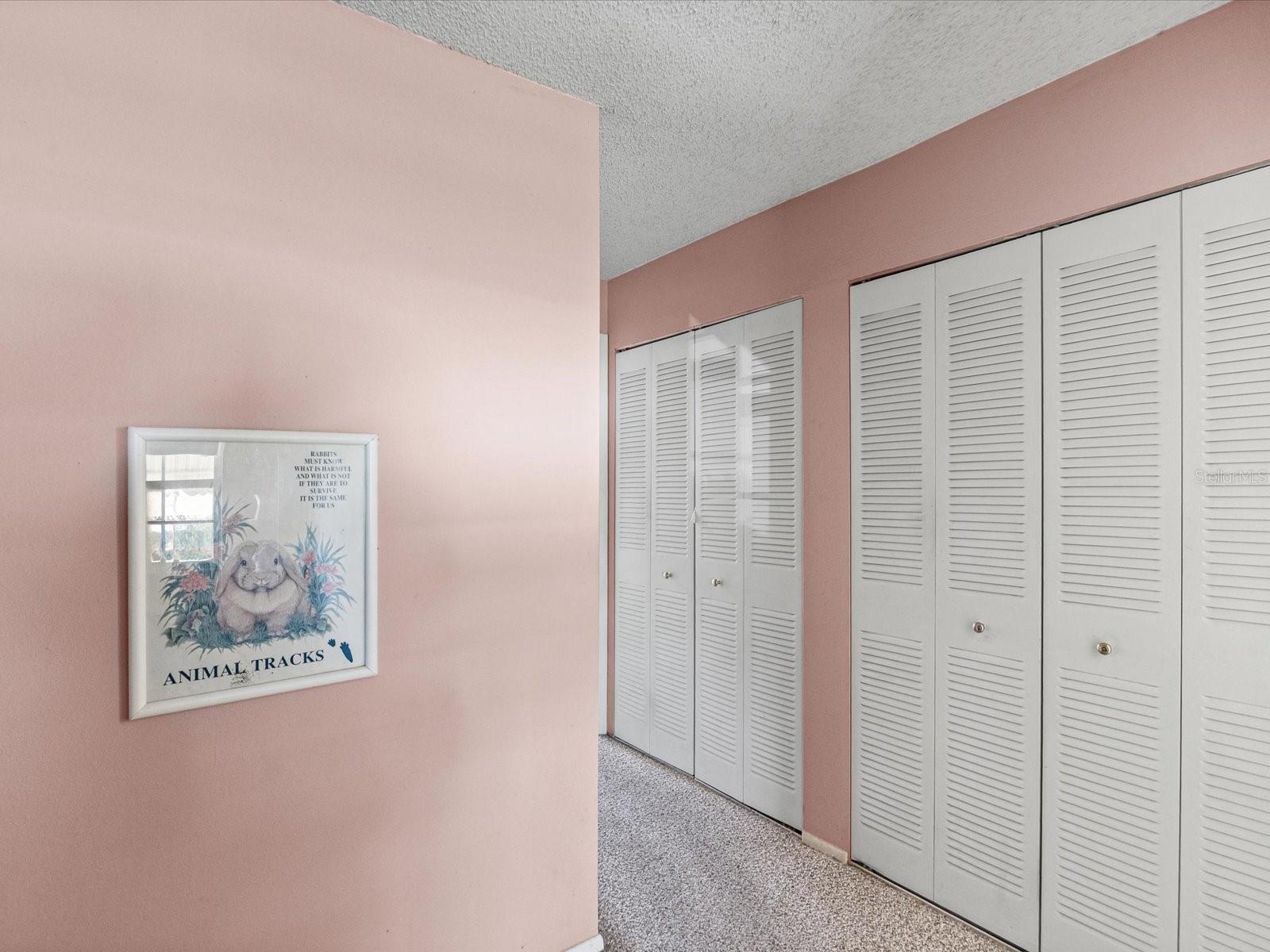 11423 WHEELING DR, TAMPA, FL, 33625