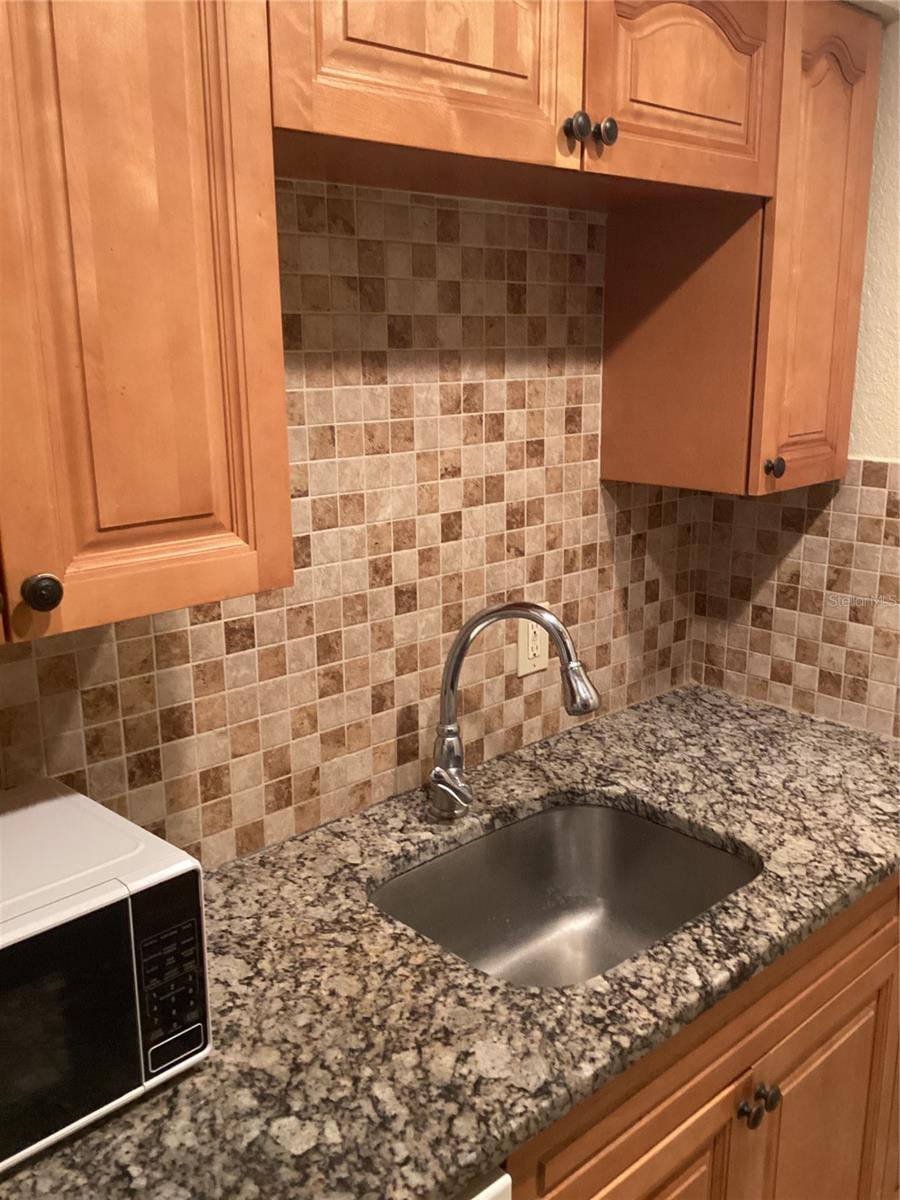 14321 HANGING MOSS CIR #101, TAMPA, FL, 33613