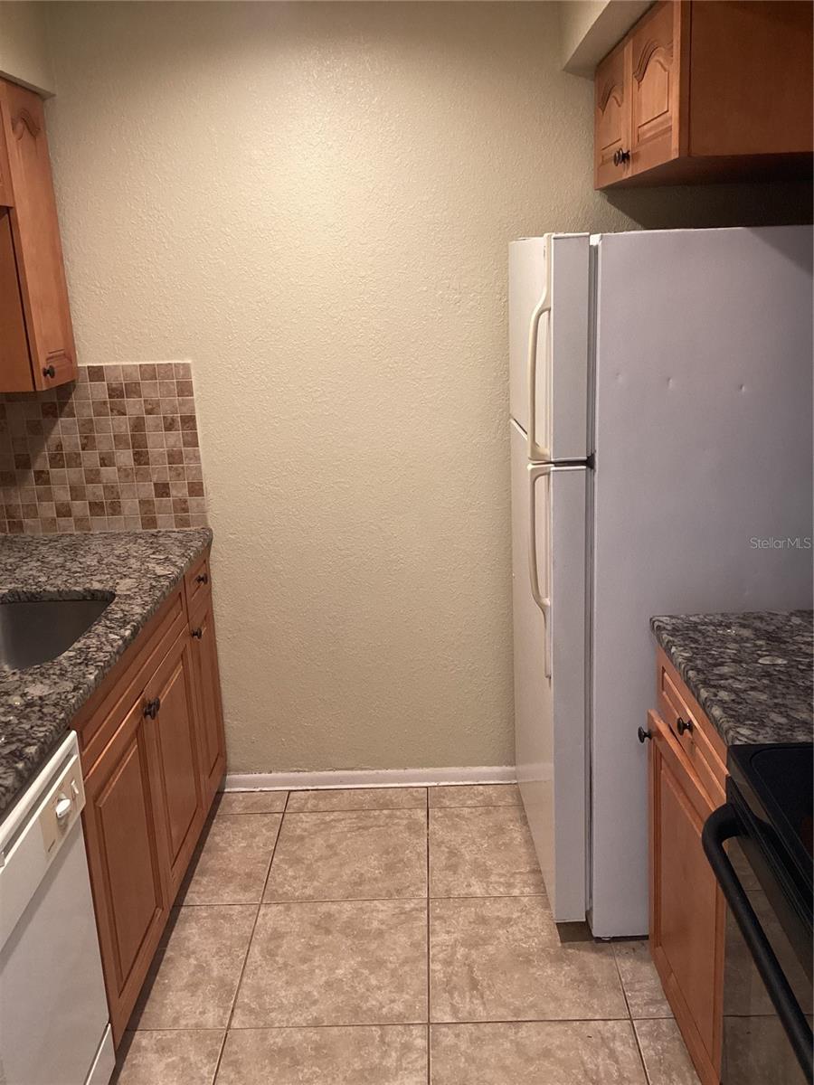 14321 HANGING MOSS CIR #101, TAMPA, FL, 33613