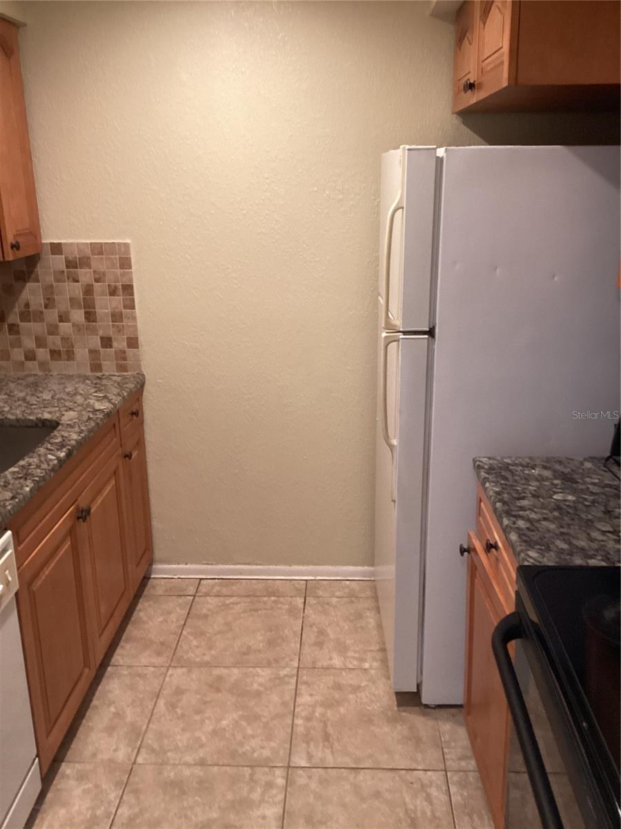 14321 HANGING MOSS CIR #101, TAMPA, FL, 33613