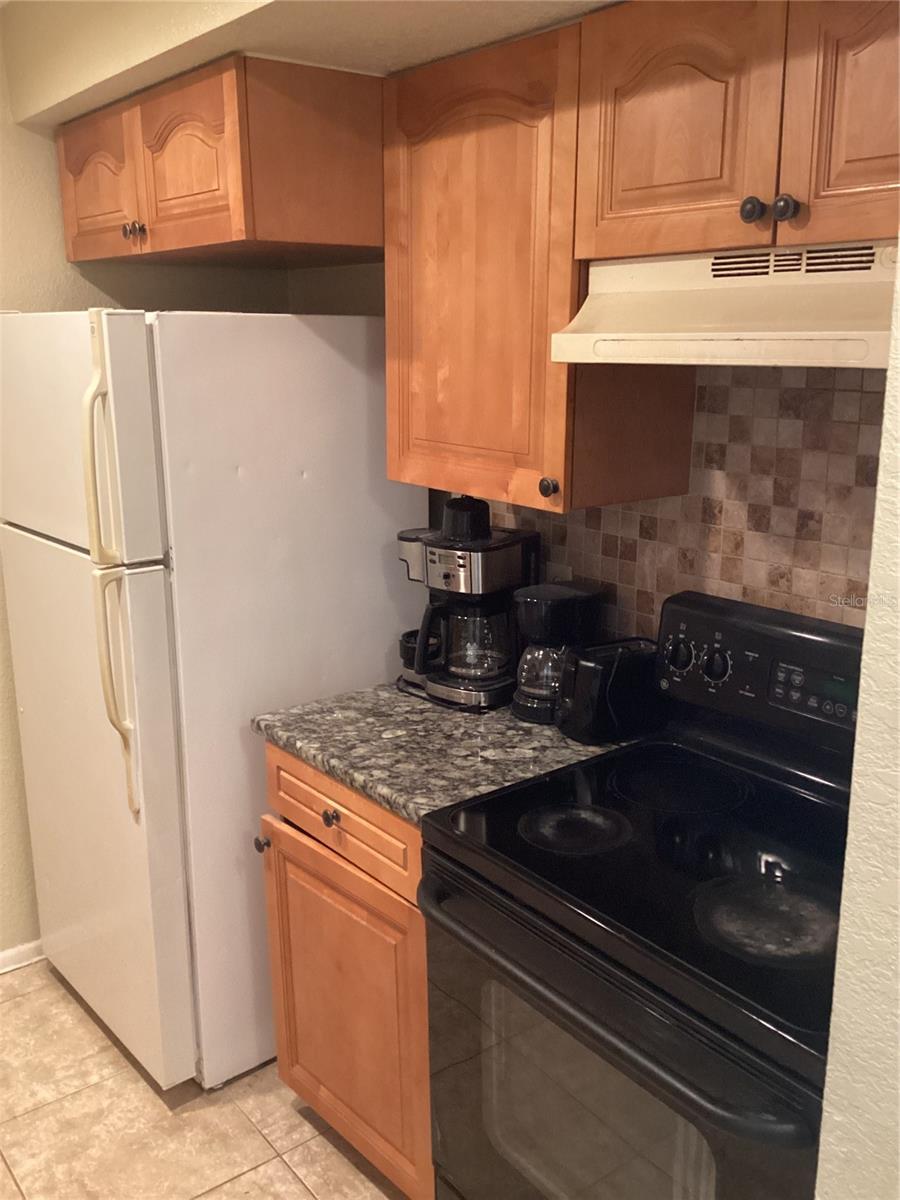 14321 HANGING MOSS CIR #101, TAMPA, FL, 33613