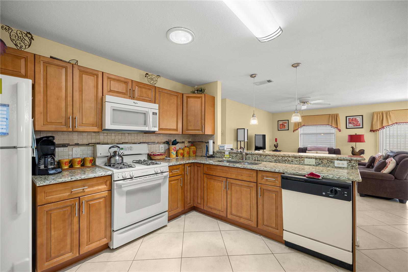 2826 SALAMANCA ST, THE VILLAGES, FL, 32162