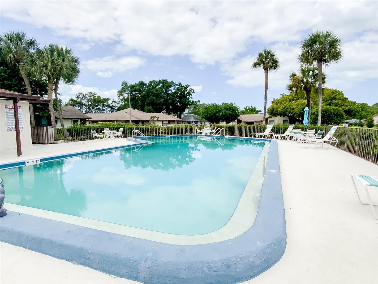 1125 MONTROSE PL, DUNEDIN, FL, 34698