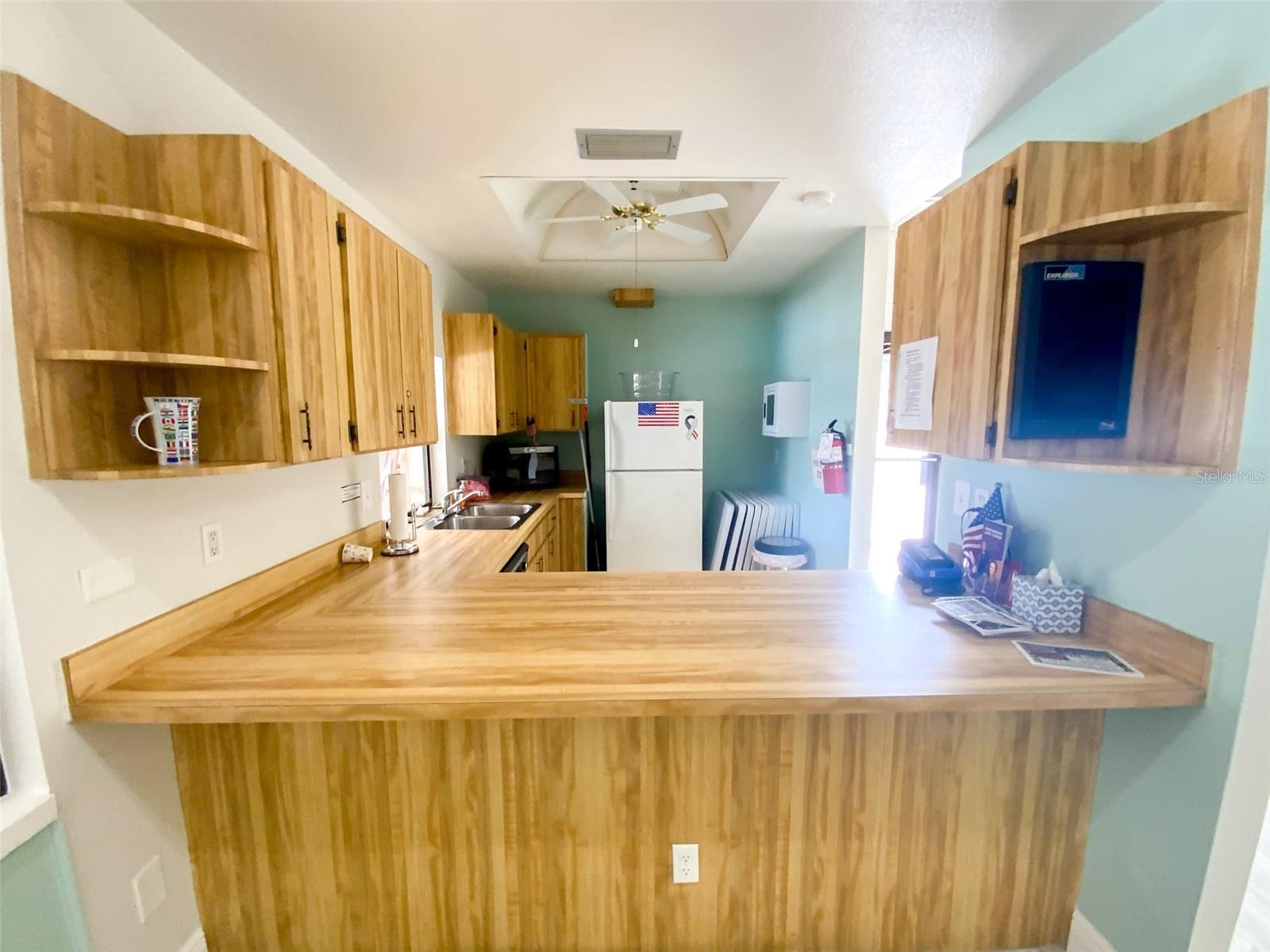 1125 MONTROSE PL, DUNEDIN, FL, 34698