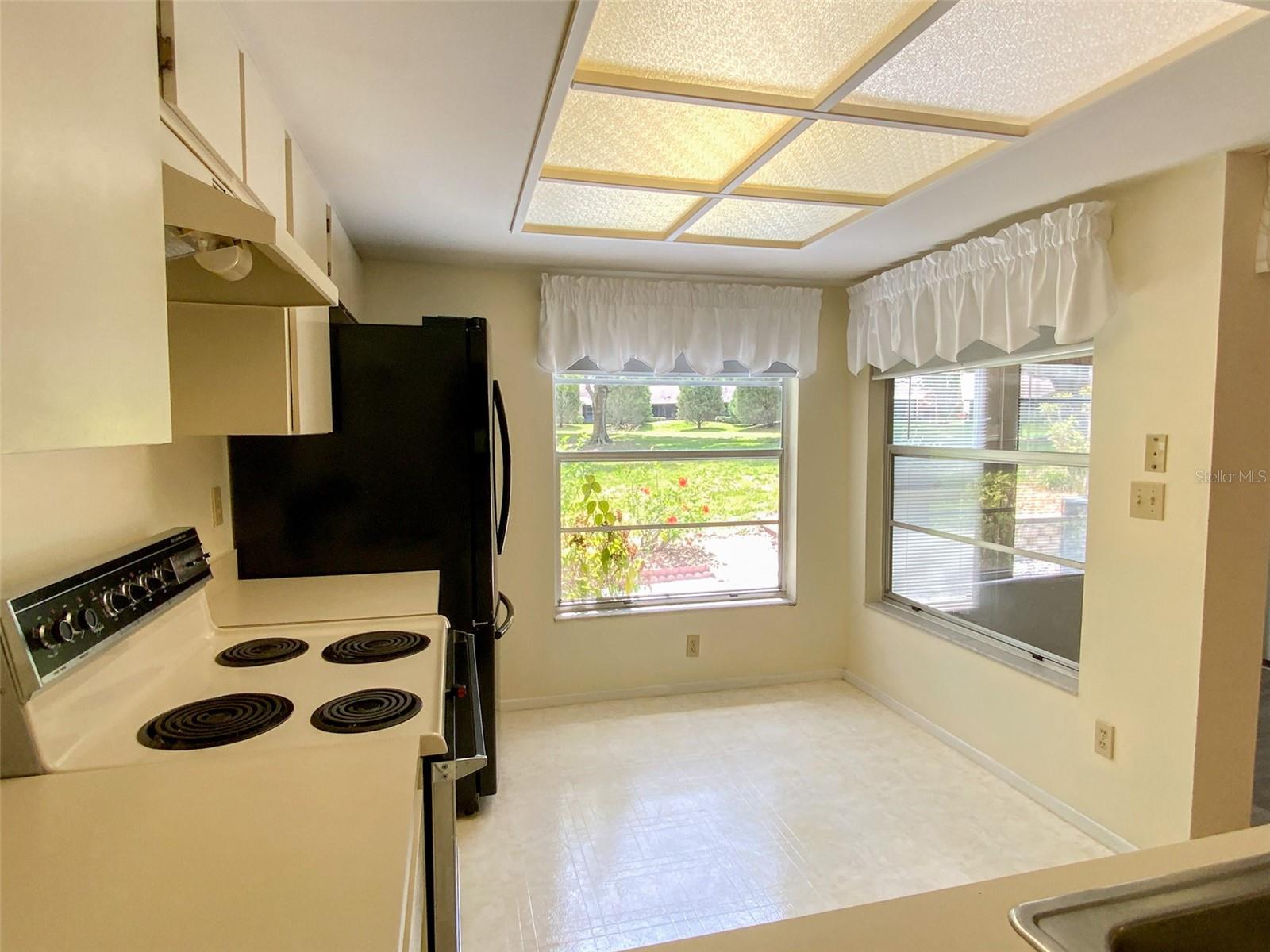 1125 MONTROSE PL, DUNEDIN, FL, 34698