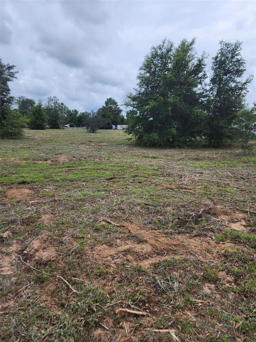 4975 E TRISS ST, INVERNESS, FL, 34452