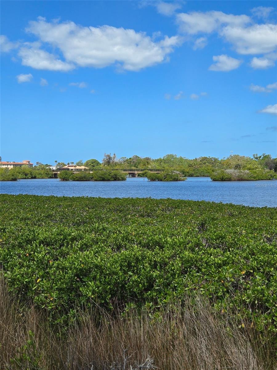 1124 BIRD BAY WAY #181, VENICE, FL, 34285