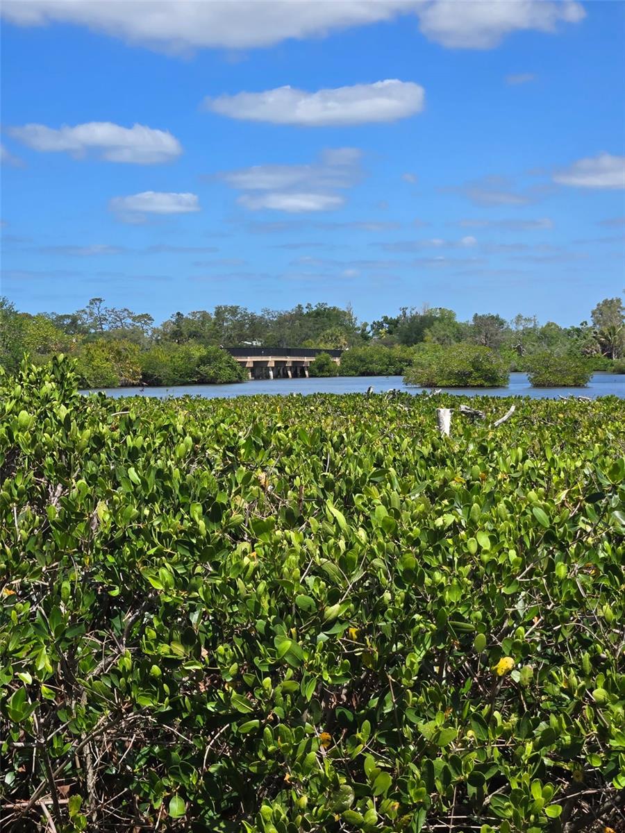 1124 BIRD BAY WAY #181, VENICE, FL, 34285