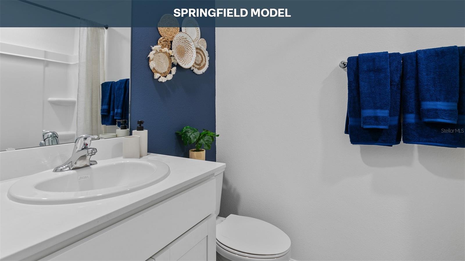 217 AYAMONTE RD, ST AUGUSTINE, FL, 32084