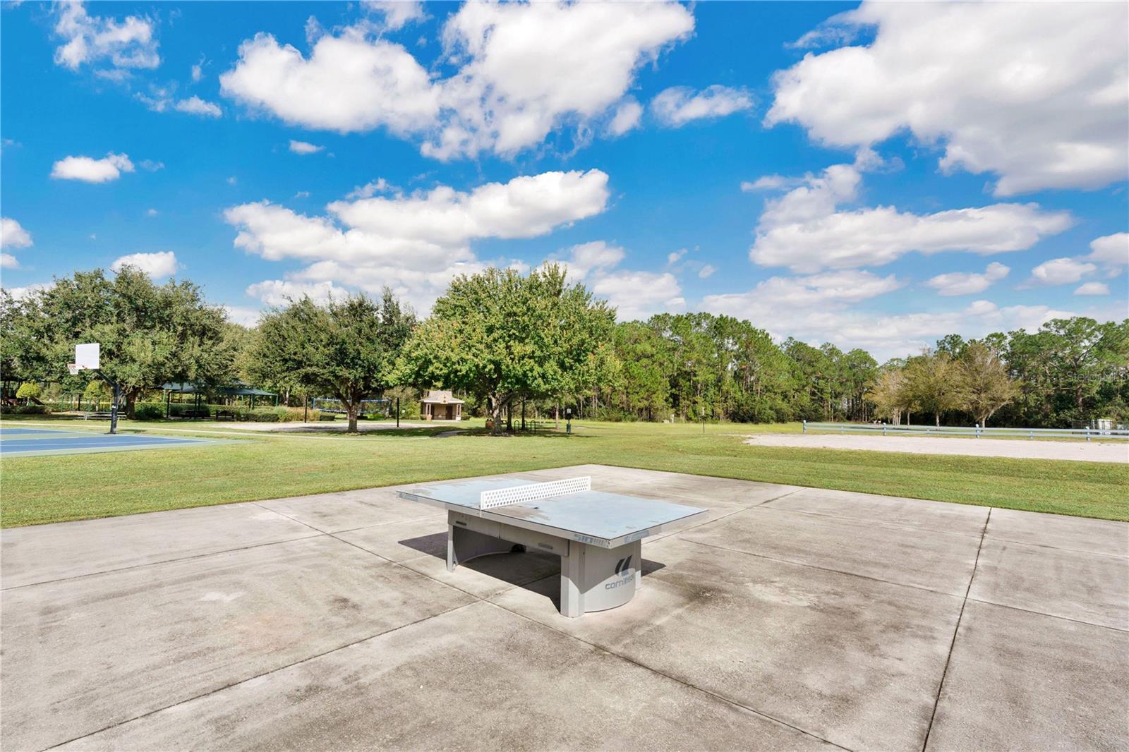 3320 BRACKEN FERN DR, HARMONY, FL, 34773