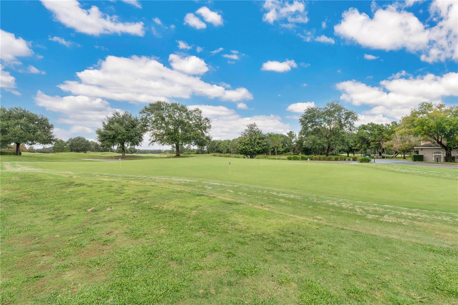 3320 BRACKEN FERN DR, HARMONY, FL, 34773