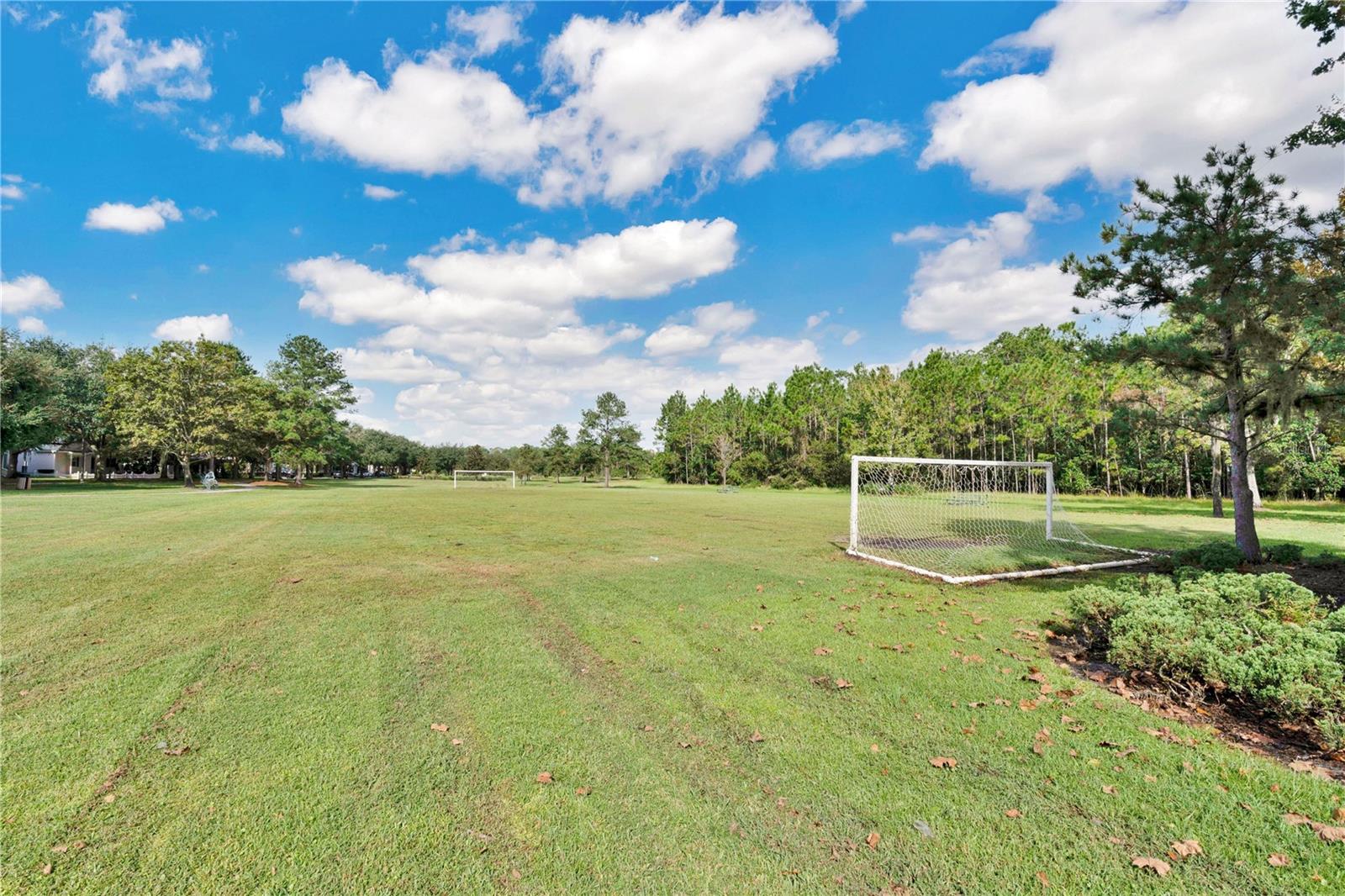 3320 BRACKEN FERN DR, HARMONY, FL, 34773