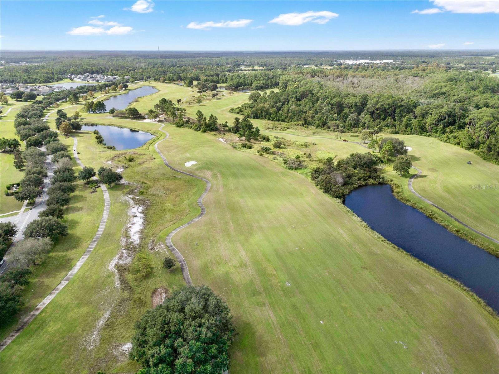 3320 BRACKEN FERN DR, HARMONY, FL, 34773