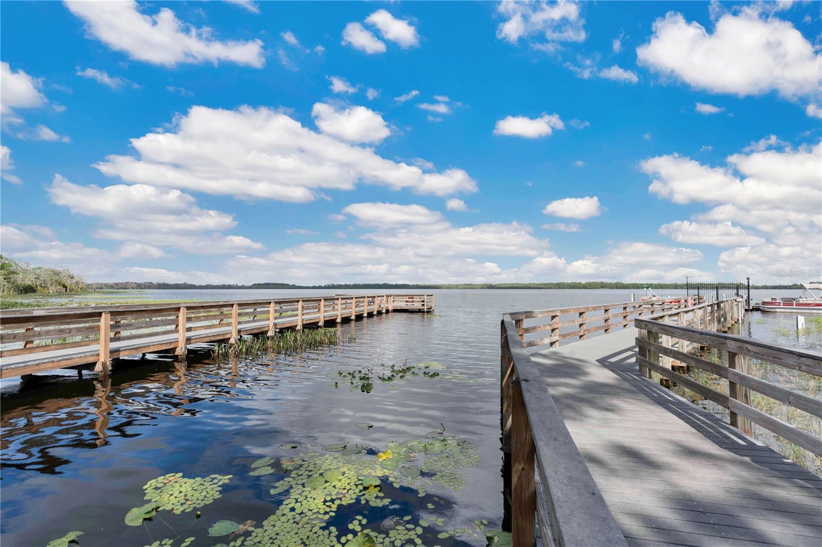 3320 BRACKEN FERN DR, HARMONY, FL, 34773