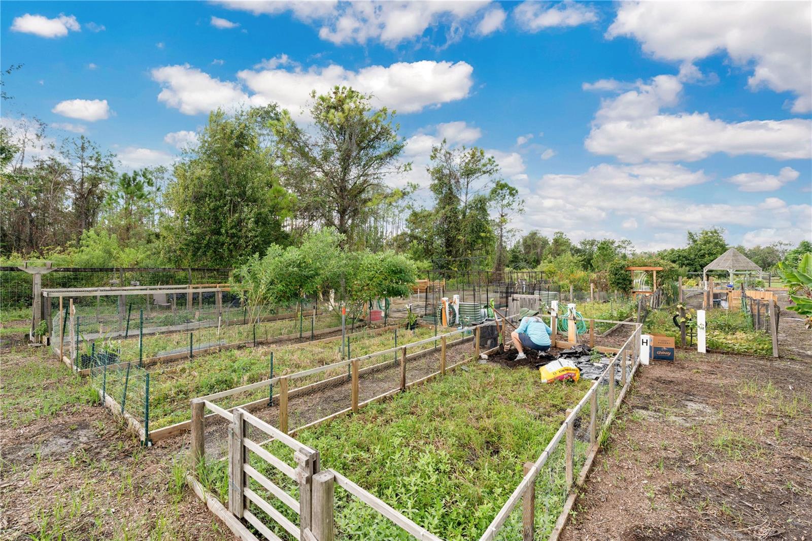 3320 BRACKEN FERN DR, HARMONY, FL, 34773