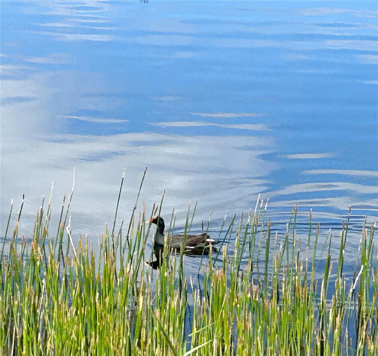 19365 WATER OAK DR #J107, PORT CHARLOTTE, FL, 33948