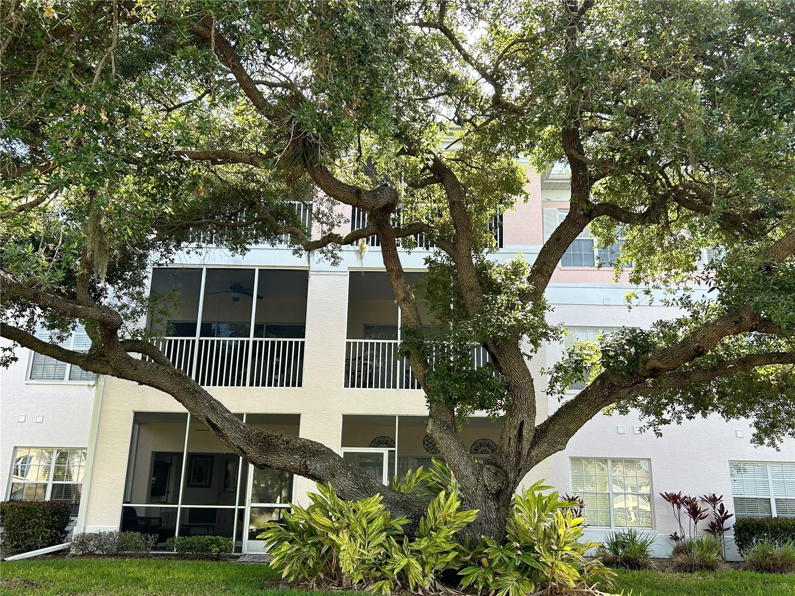 19365 WATER OAK DR #J107, PORT CHARLOTTE, FL, 33948