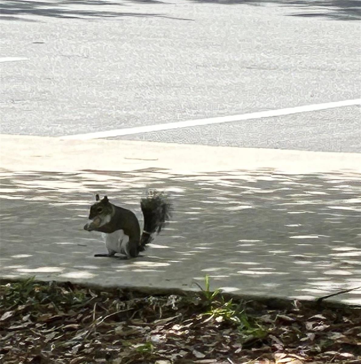 19365 WATER OAK DR #J107, PORT CHARLOTTE, FL, 33948