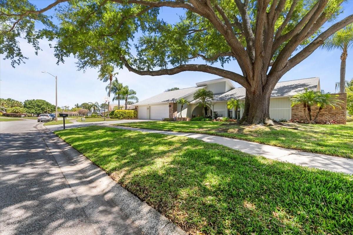 3111 HYDE PARK DR, CLEARWATER, FL, 33761