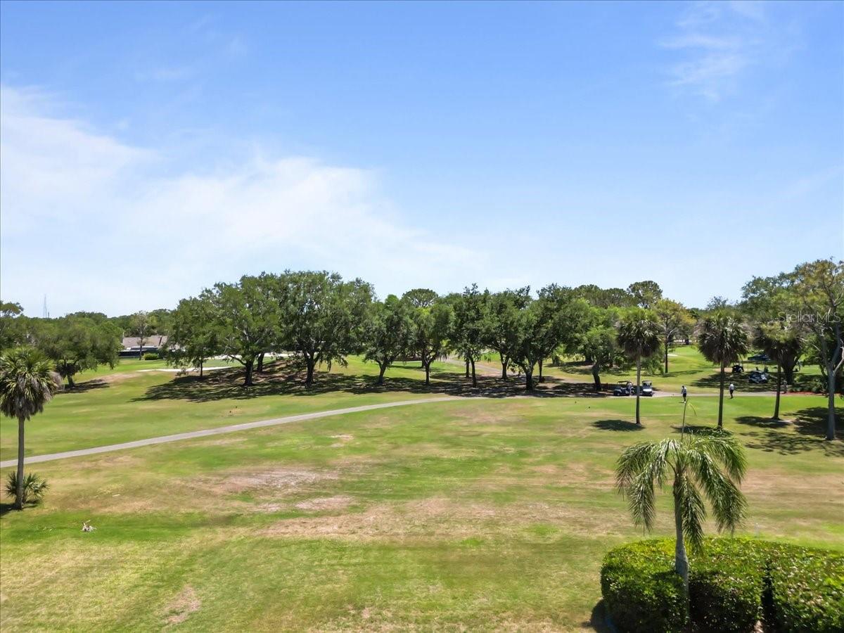 3111 HYDE PARK DR, CLEARWATER, FL, 33761