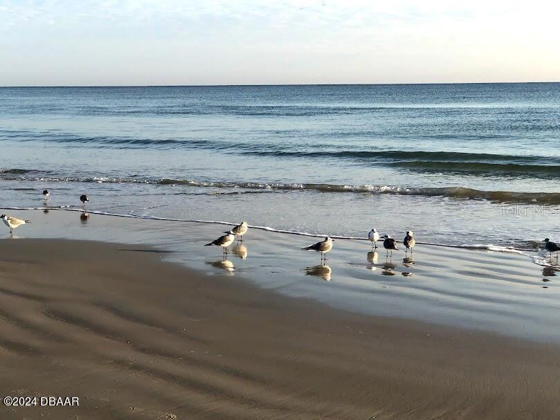 2828 N ATLANTIC AVE #604, DAYTONA BEACH, FL, 32118