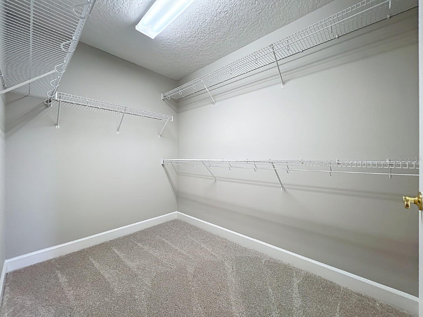 3633 TURNINGWIND LN, WINTER GARDEN, FL, 34787